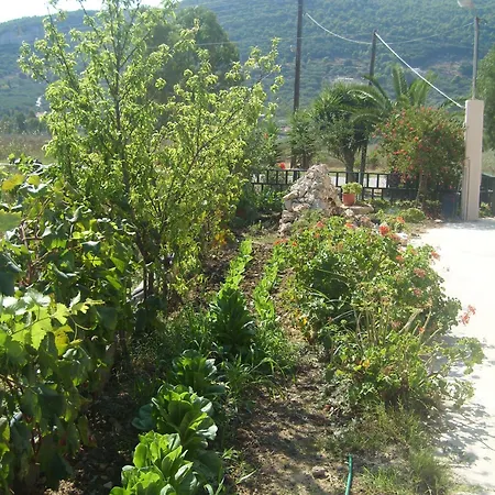 Pansion Porto Tsi Ostrias 3*